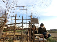CIMG9379.JPG